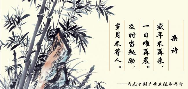 辦公室風(fēng)水?dāng)[件，助你事業(yè)風(fēng)生水起