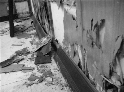 白蟻的危害，每年造成的直接經(jīng)濟(jì)損失在3000萬(wàn)元以