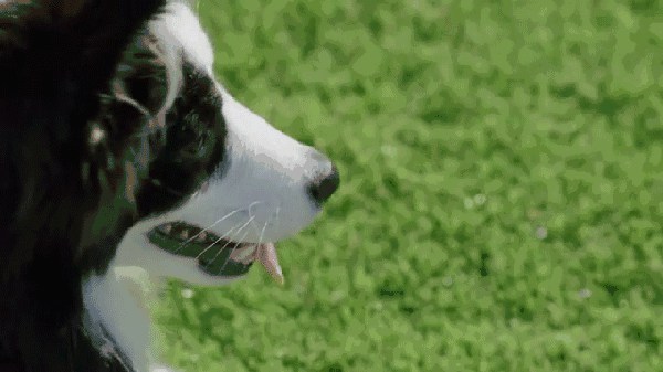 2017年＊流行，是時候給你點綠色瞧瞧了～