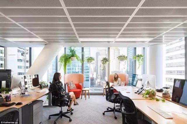 2000m2 像家一樣溫馨的辦公室，看完我心動了