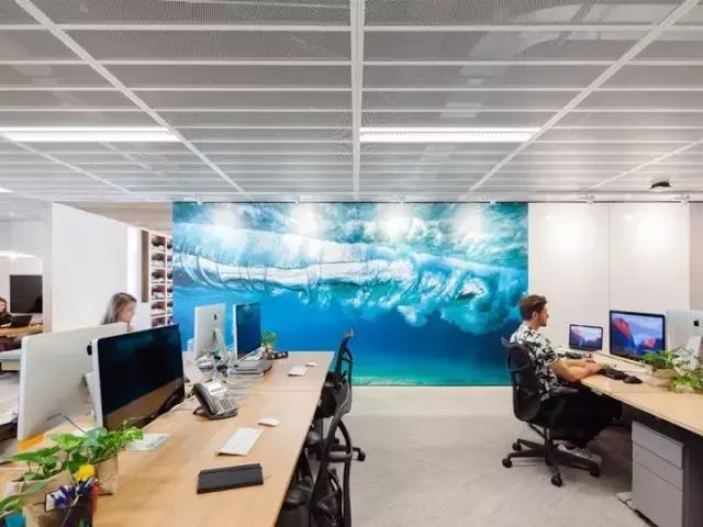 2000m2 像家一樣溫馨的辦公室，看完我心動了