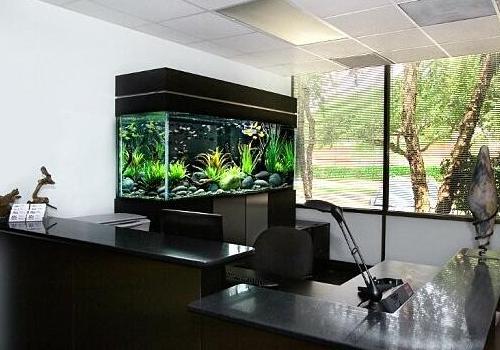 養(yǎng)魚(yú)的好處 辦公室風(fēng)水魚(yú)有何講究